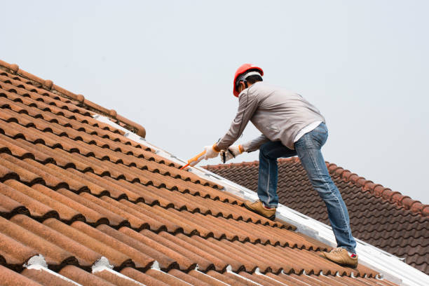 Best Sheet Metal Roofing  in Mammoth, AZ